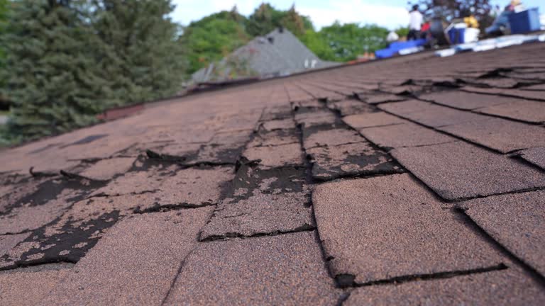 Professional Roofing Services in Rhinelander, WI